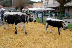 Marche-paysan-AMEM-12-avril-2026-13